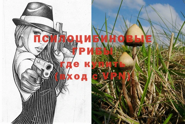 амф Баксан