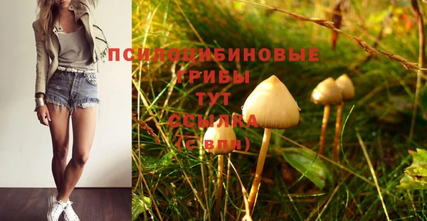 сатива Балахна