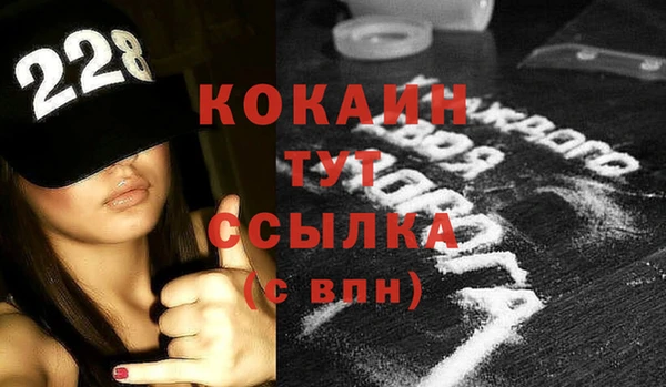 сатива Балахна